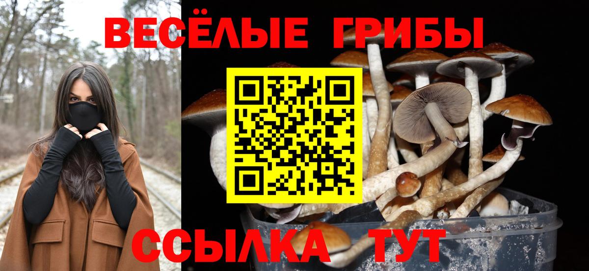 Тара  цена   Вход с VPN  Псилоцибиновые грибы MAGIC MUSHROOMS 